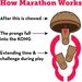 Kong® Snacks Marathon® 2-PK Huhn