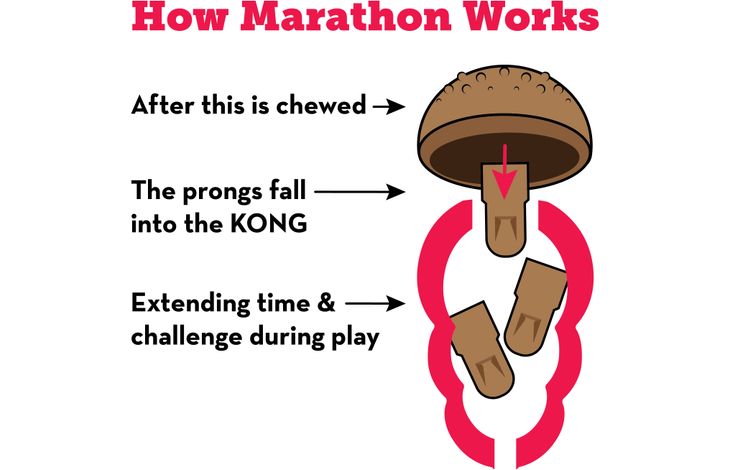 Kong® Kong® Golosinas Marathon® 2-PK Pollo
