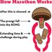 Snack Marathon® 2-PK Kip 