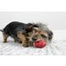 Kong® Snacks Marathon® 2-PK Huhn