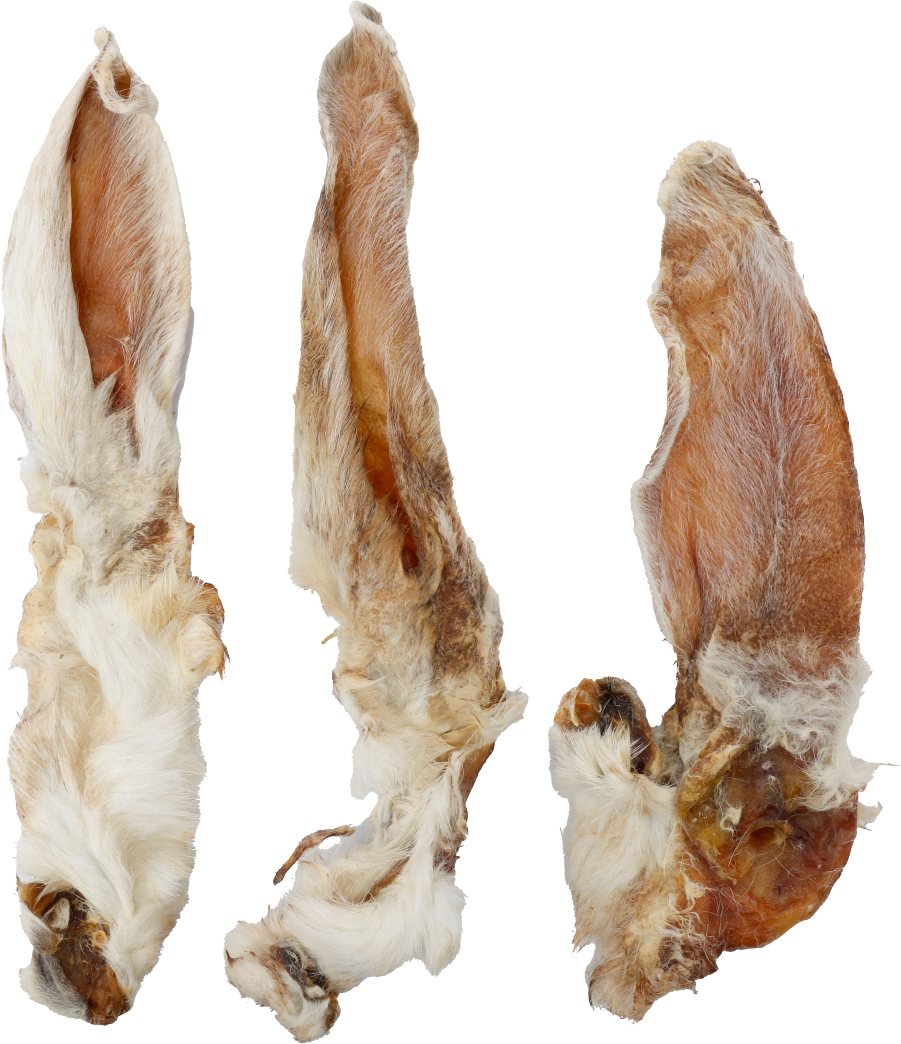 Flamingo Snacks Nature Rabbit ear