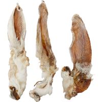 Flamingo Snacks Nature Rabbit ear