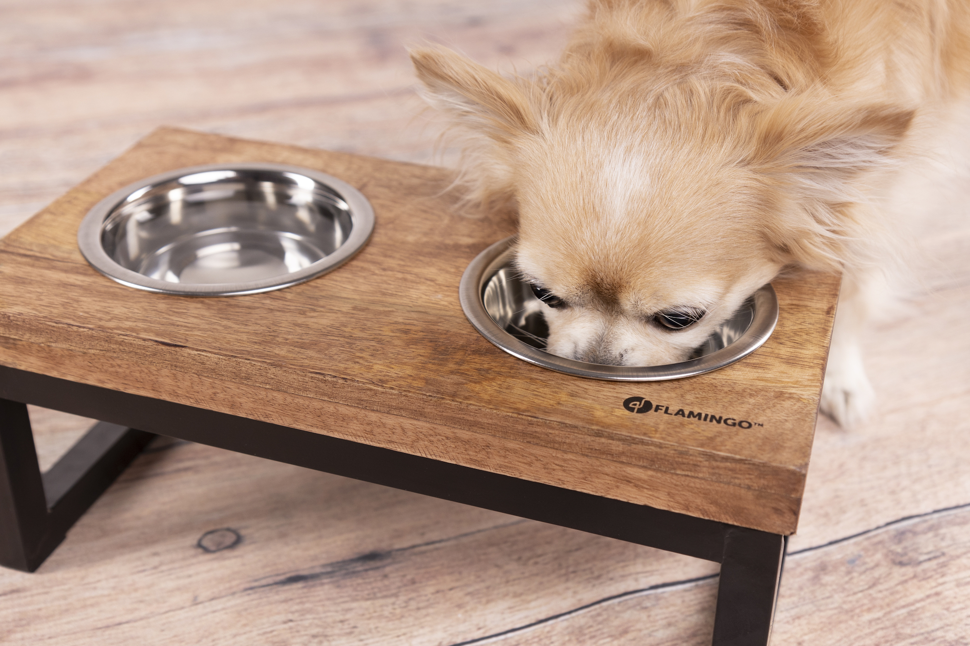 Flamingo Ciotola per cibo e acqua Duo dinner supporto Tommy Rettangolo Argento & Marrone & Nero