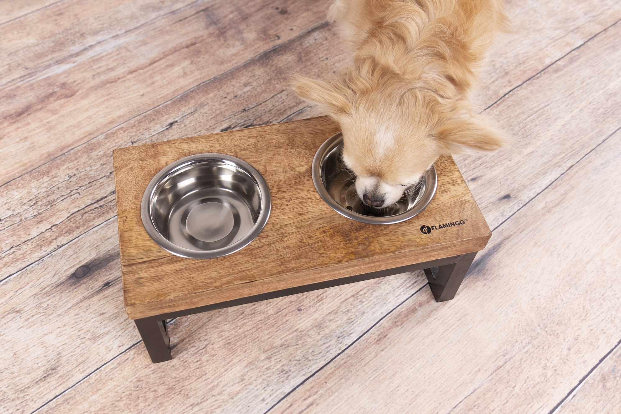 Flamingo Feeding and drinking bowl Duo dinner stand Tommy Rectangle Silver & Brown & Black