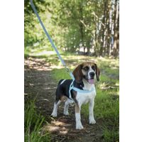 Flamingo Harness Noors Elly Light blue