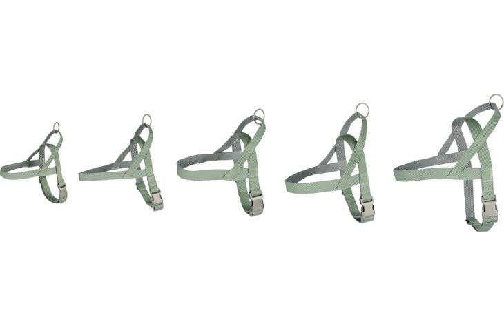 Flamingo Harnais Noors Elly Vert clair