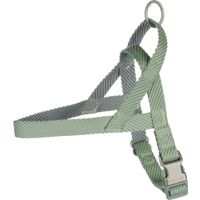Flamingo Harnais Noors Elly Vert clair