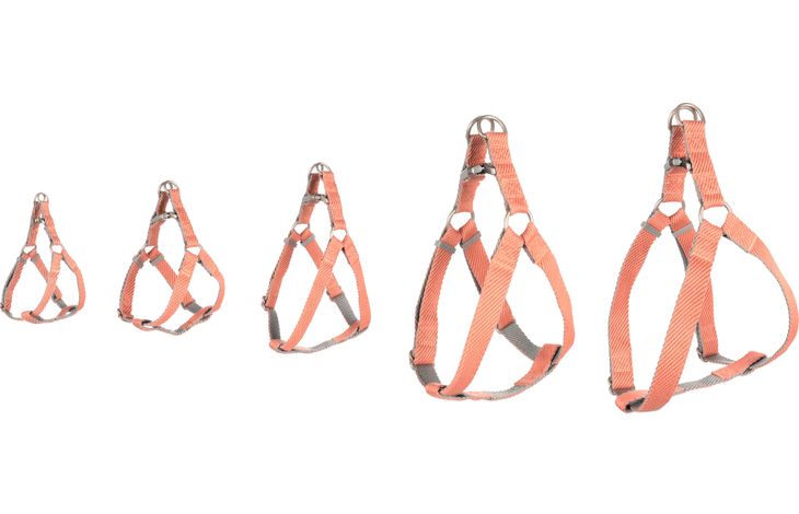 Flamingo Harness Step&Go Elly Salmon pink