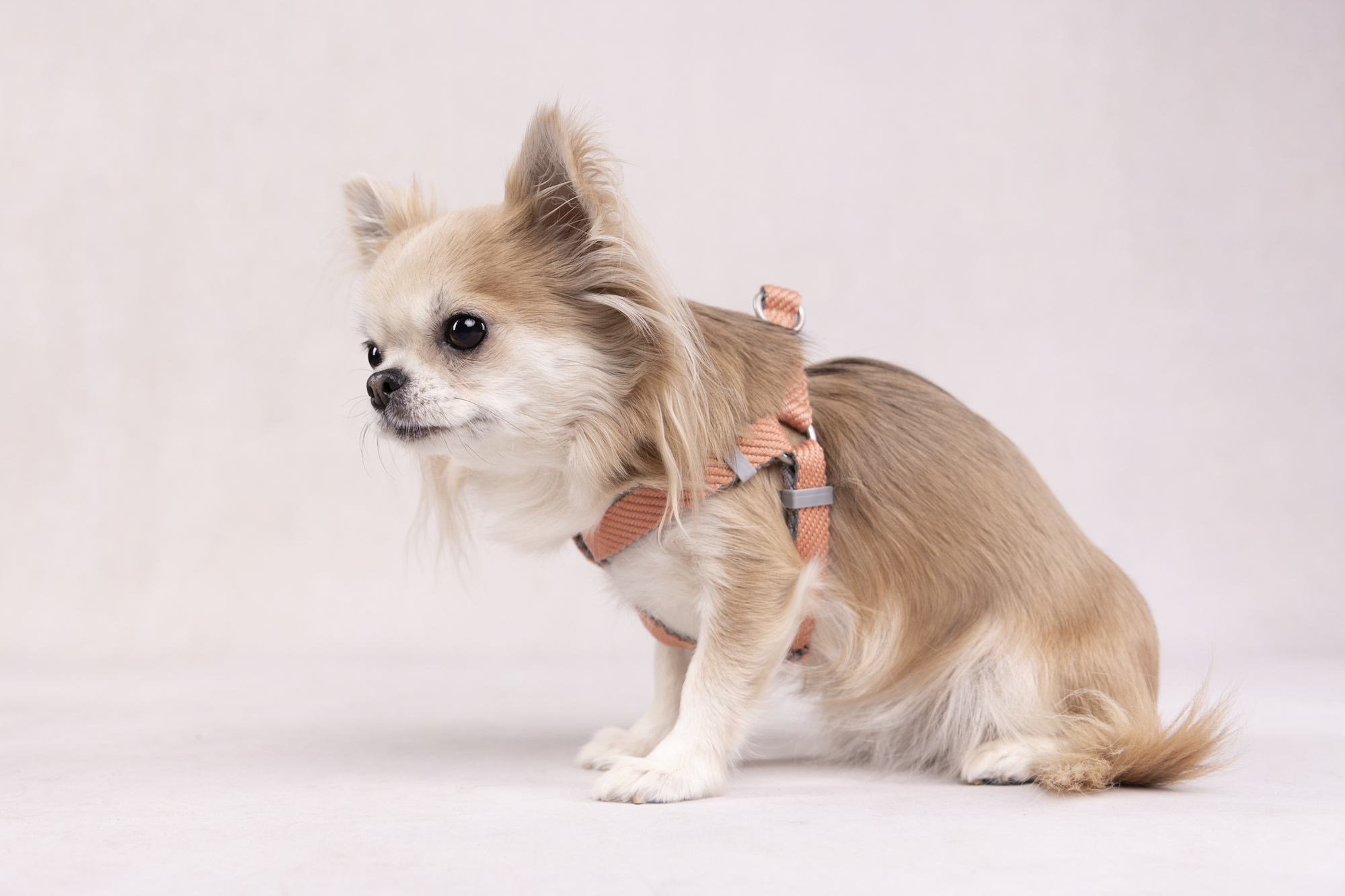 Flamingo Geschirr  Noors Elly Lachsrosa