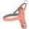 Harnais Noors Elly Rose saumon
