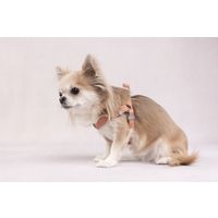 Flamingo Pettorina Noors Elly Rosa salmone