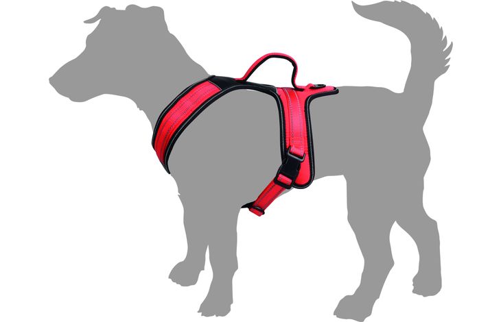 Flamingo Pettorina Toga Rosso