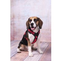 Flamingo Pettorina Toga Rosso