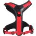 Harness Toga Red