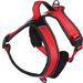Harness Toga Red