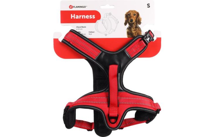 Flamingo Pettorina Toga Rosso