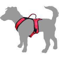 Flamingo Harness Toga Red