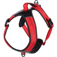 Flamingo Harness Toga Red