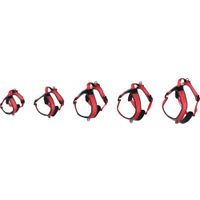 Flamingo Harness Toga Red