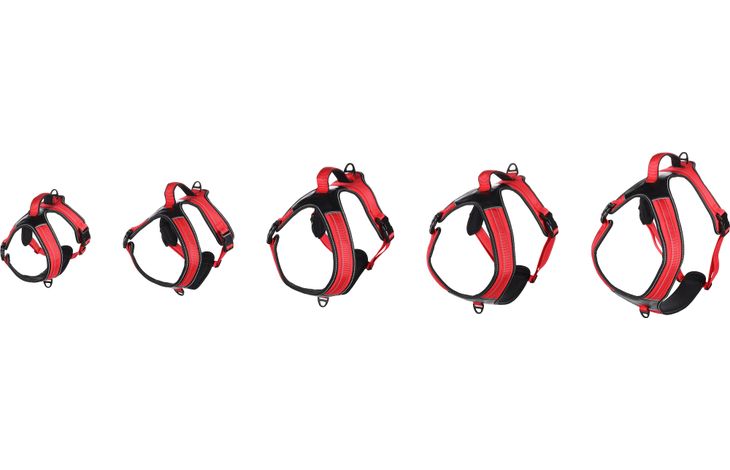 Flamingo Harness Toga Red