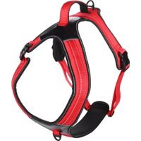 Flamingo Harnas Toga Rood