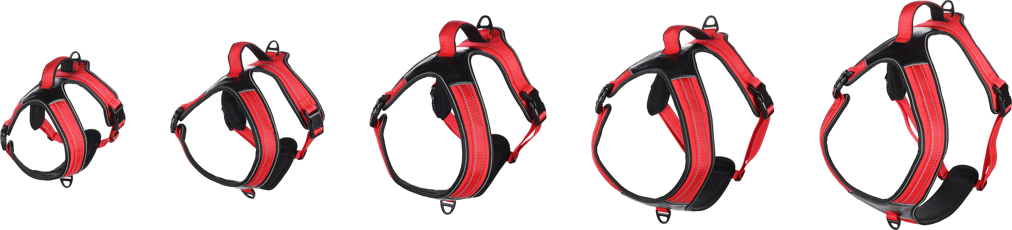 Flamingo Geschirr  Toga Rot