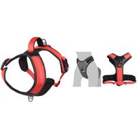 Flamingo Harnas Toga Rood