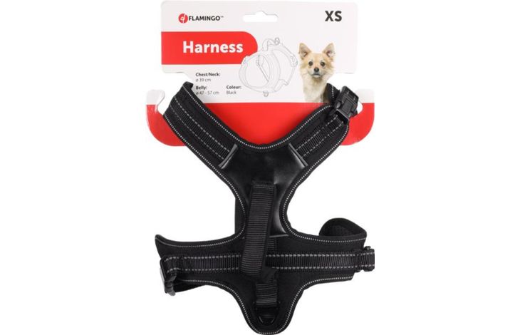 Flamingo Pettorina Toga Nero