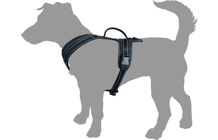 Flamingo  Harness  Toga Black