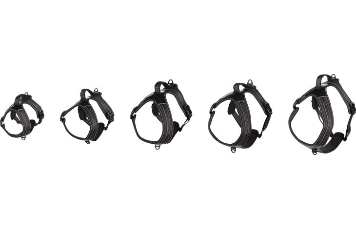 Flamingo Harness Toga Black