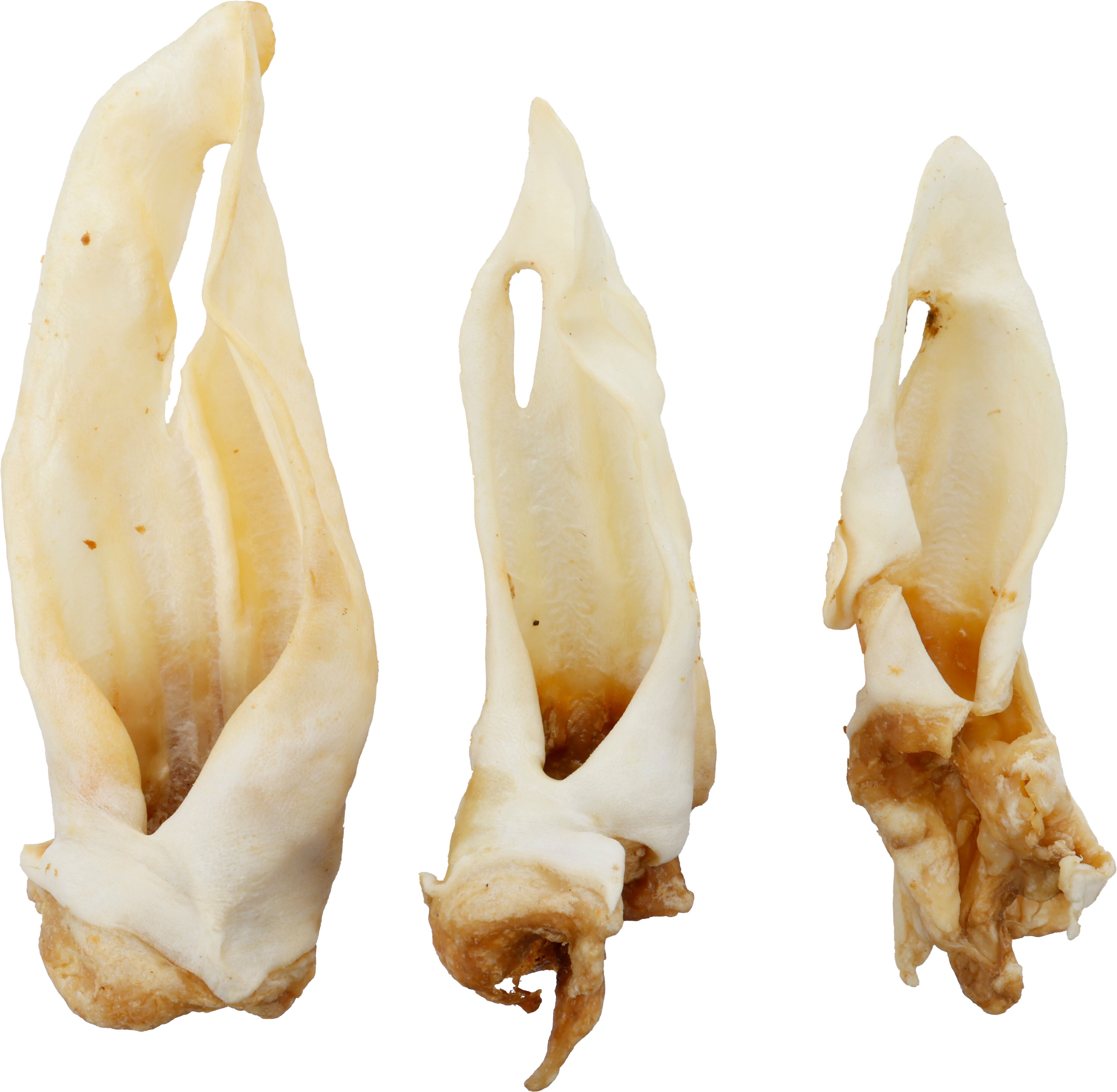 Flamingo Snacks Nature Sheep ear