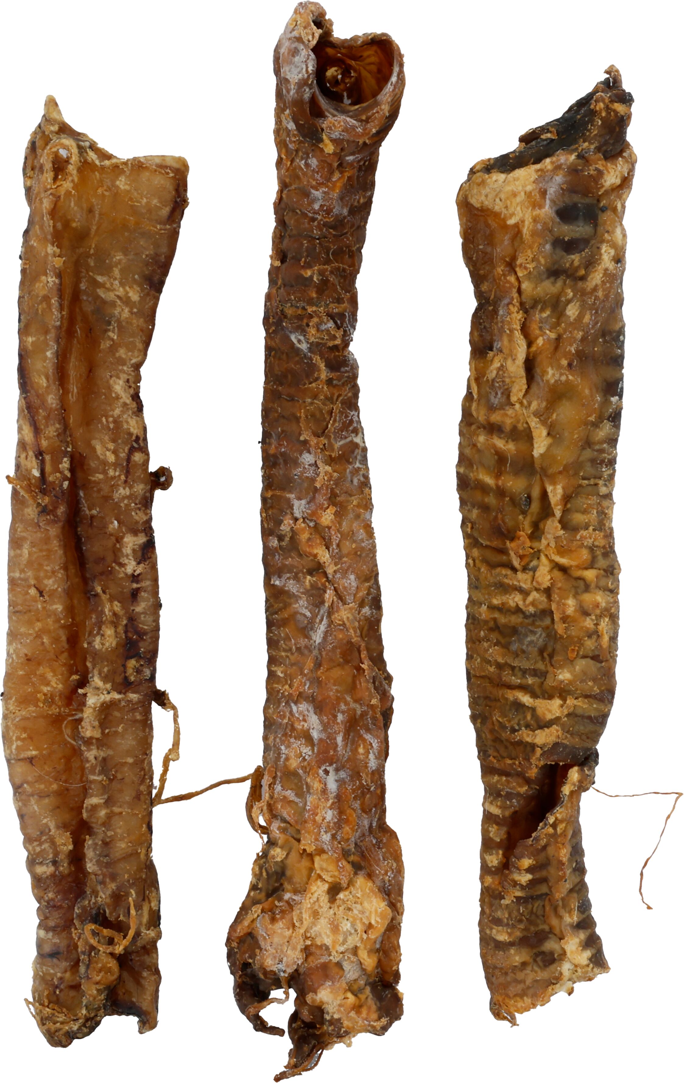 Flamingo Snacks Nature Sheep trachea