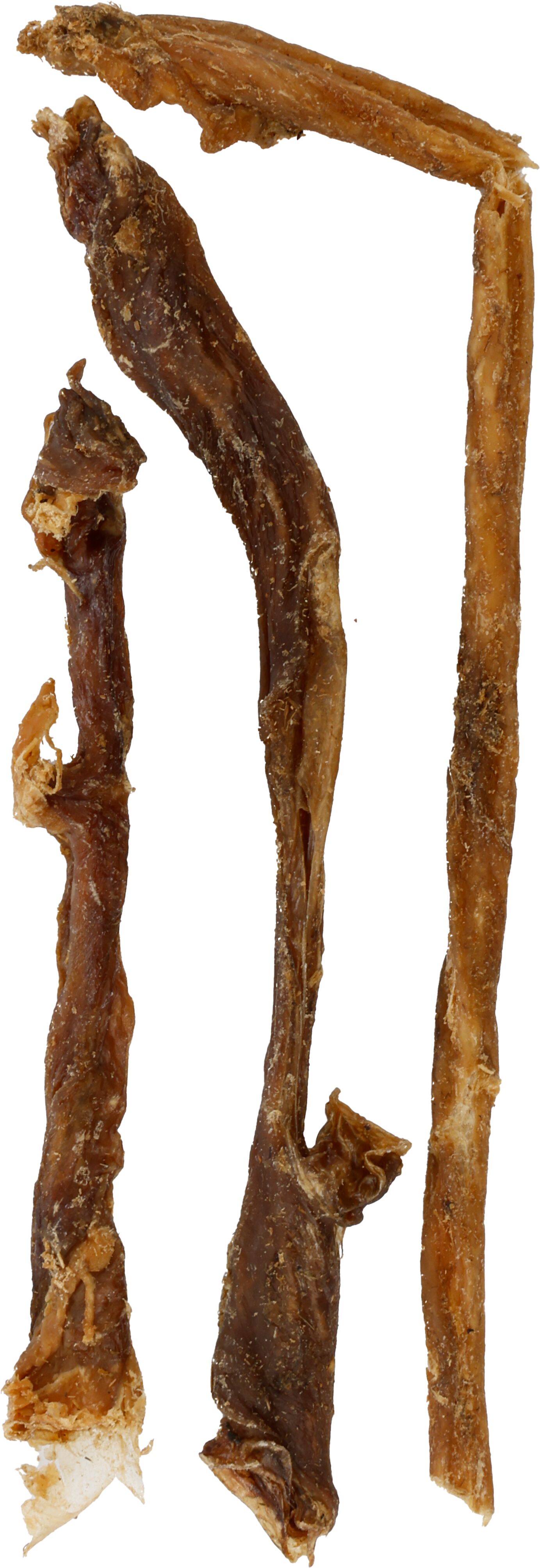 Flamingo Snack Nature Schaapsslokdarm