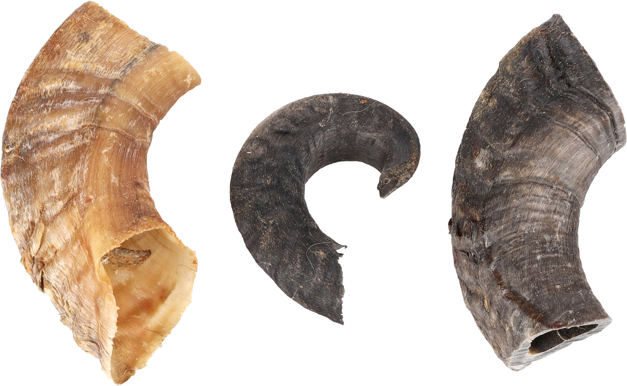 Flamingo Snacks Nature Sheep horn