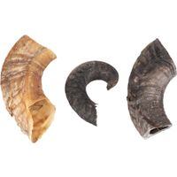 Flamingo Snacks Nature Sheep horn