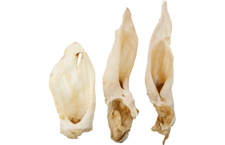 Flamingo Snacks Nature Goat ear