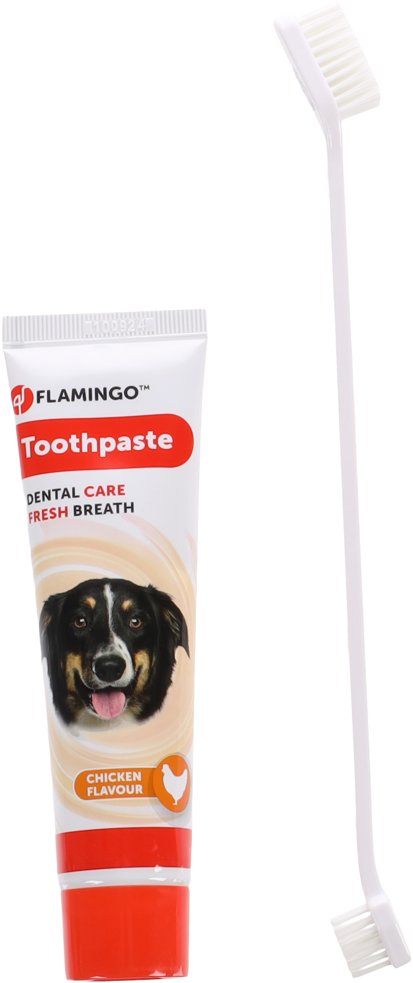Flamingo Toothpaste & Toothbrush Dafra Tube