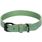 Collar Leano Green