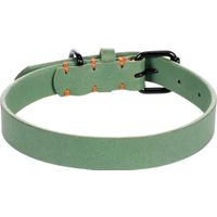 Flamingo Collar Leano Green