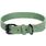 Collar Leano Green