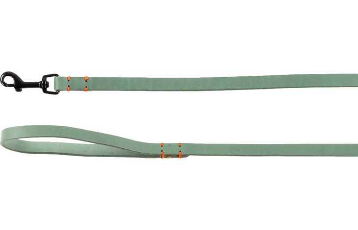 Flamingo Leash Leano Green