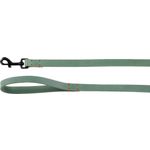 Leash Leano Green