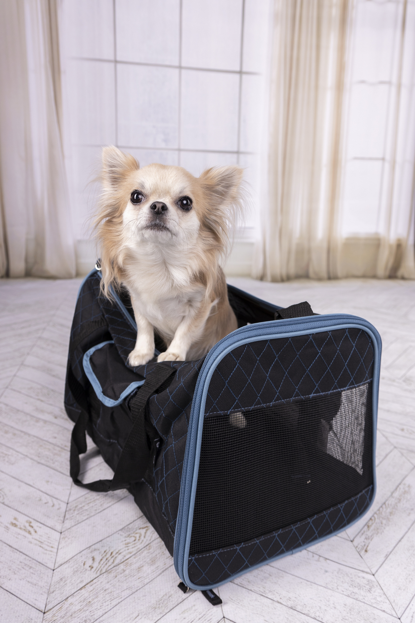 Flamingo Carrying bag Hakon Black