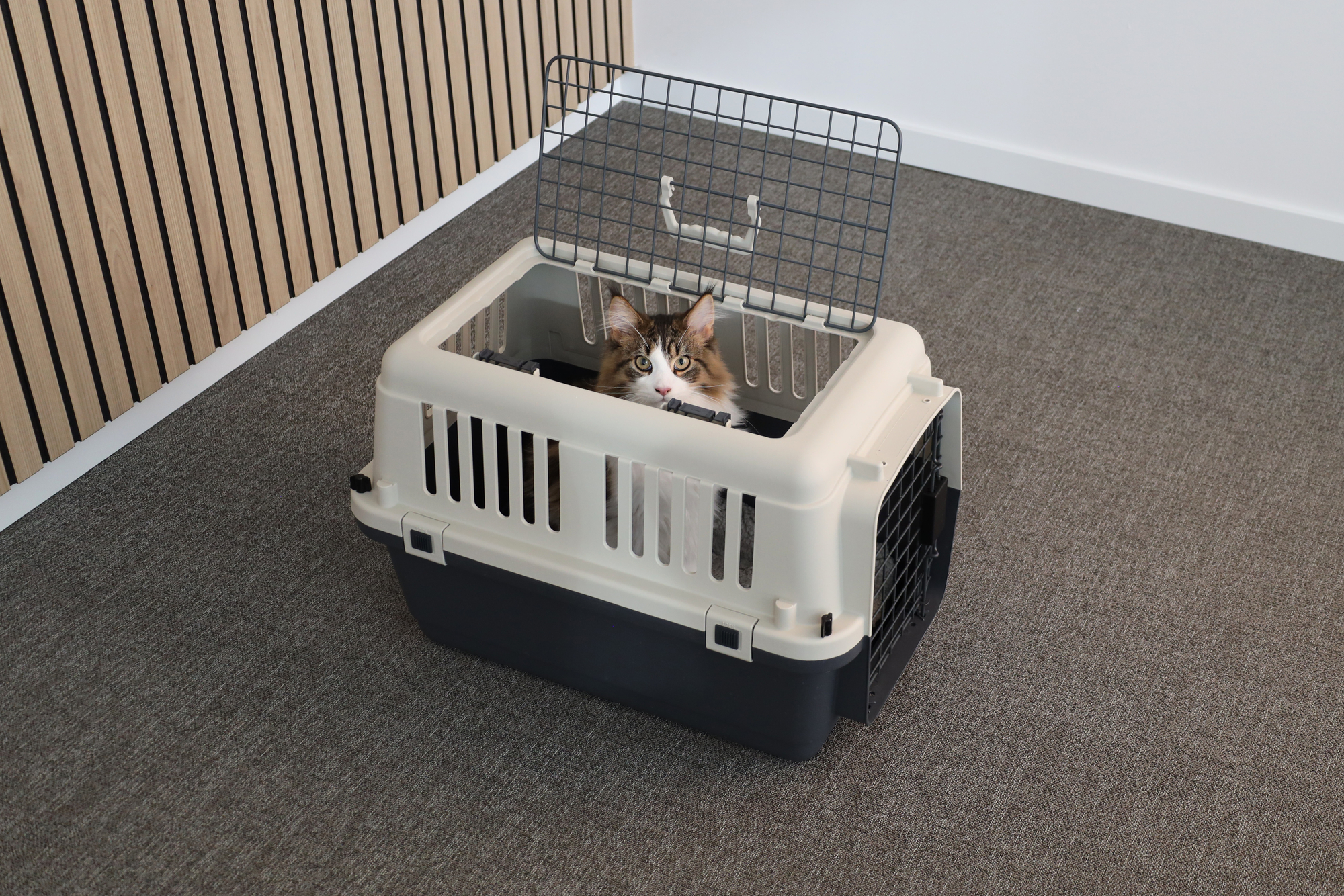 Flamingo Transportkäfig Neto Dunkelgrau