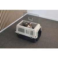 Flamingo Transportkäfig Neto Dunkelgrau