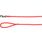 Leash Aiden Red