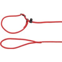 Flamingo Correa antitirones Aiden Rojo