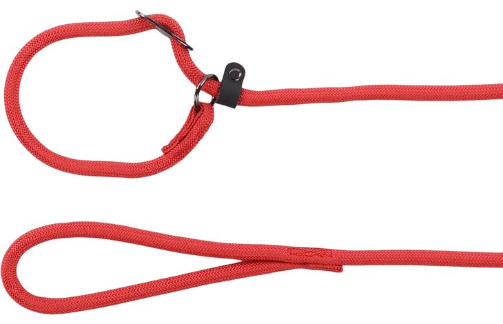 Flamingo Correa antitirones Aiden Rojo