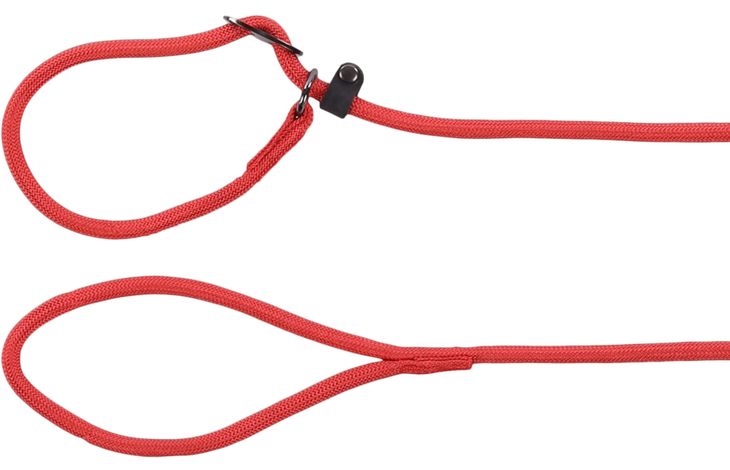 Flamingo Anti-pull leash Aiden Red