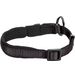  Halsband  Abbi Zwart